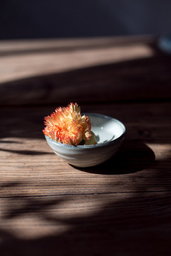 茶館一景陽(yáng)光下的花朵高清