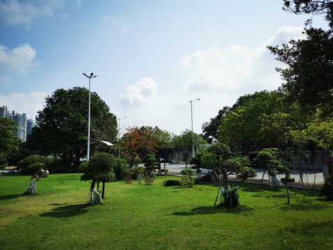 園林景觀