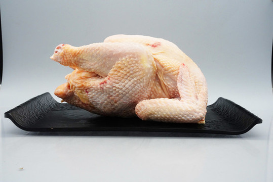 生鮮雞肉整雞