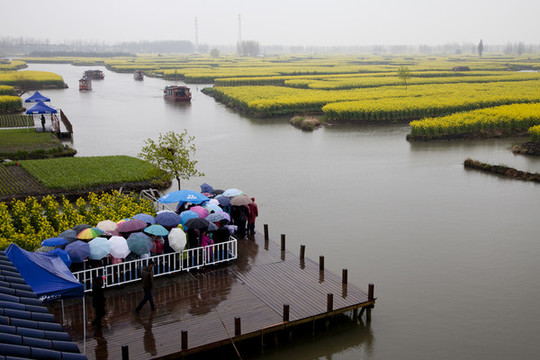 花海碼頭