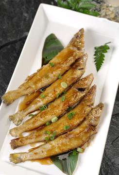 沙尖魚(yú)
