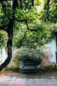 錫惠公園