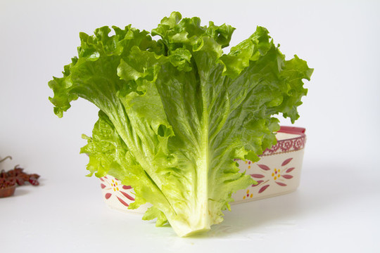 生菜