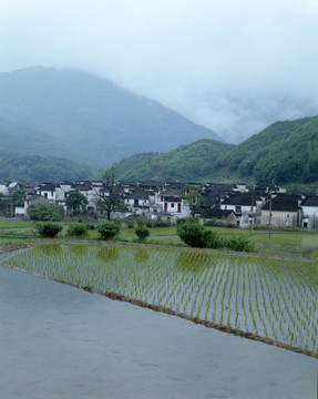 山村