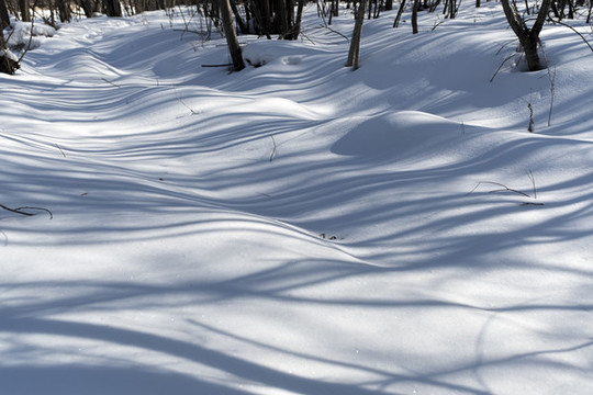 雪地光影