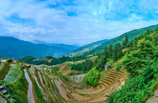 龍脊梯田高清全景圖