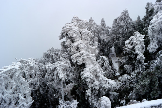 衡山雪景