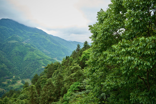 廣西山水