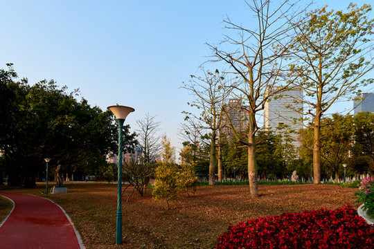 廣州風(fēng)景