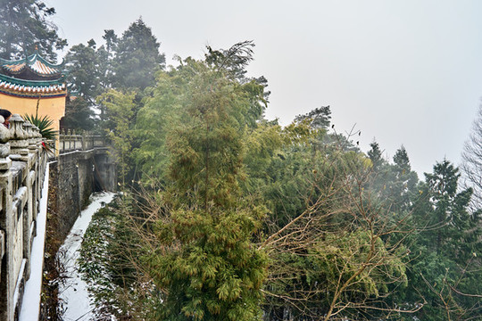 雪中景色
