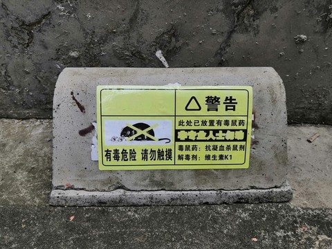 滅鼠屋