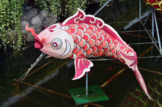 紅鯉魚(yú)紙?jiān)薀? loading=