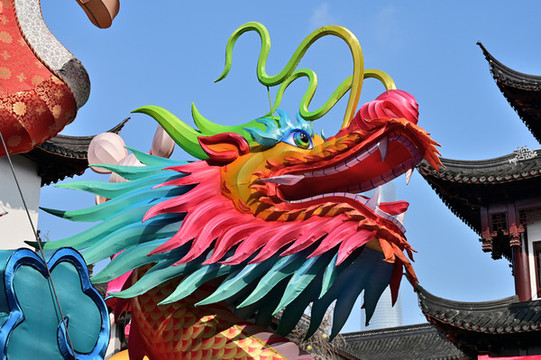 元宵神龍花燈特寫