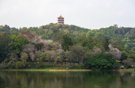 麓湖公園
