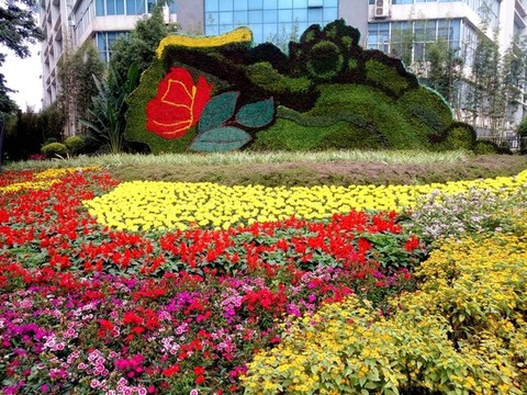 植物花墻花壇