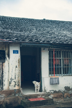 李莊古鎮(zhèn)