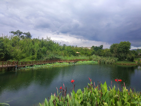 洛帶濕地公園