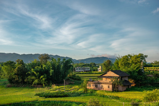 田園風(fēng)光