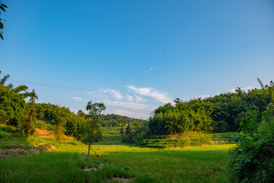 蟠龍鄉(xiāng)春耕