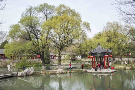 山東青州范公亭公園春景醉游人