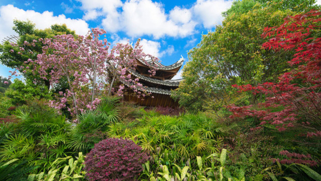 劍河中式園林露天溫泉風光