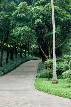 公園樹林休閑生活
