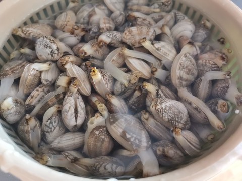 花甲