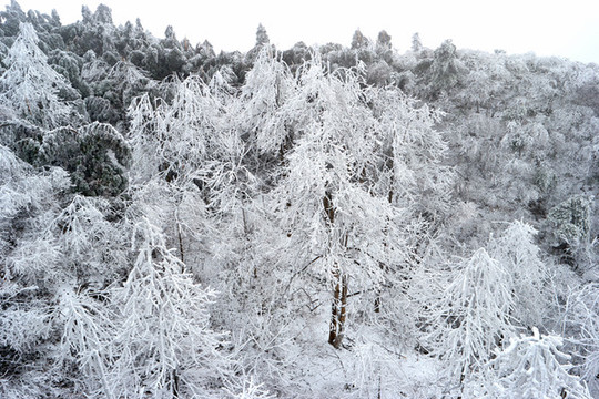 衡山