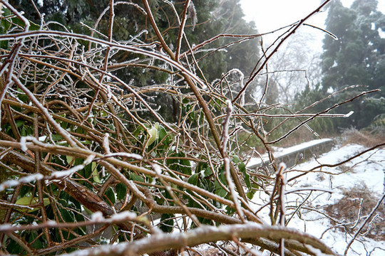 積雪