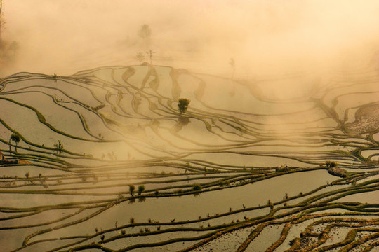 云南元陽(yáng)梯田