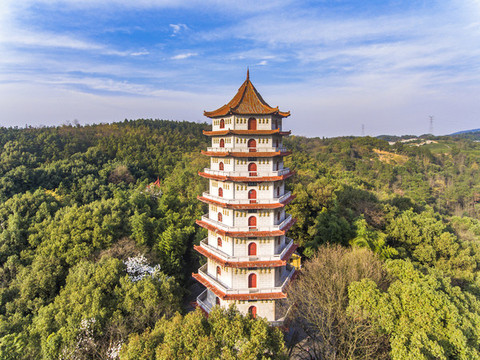 航拍九江東林寺