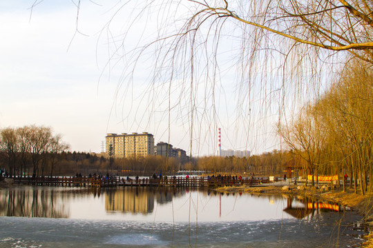天嘉公園