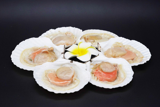 海鮮水產(chǎn)扇貝