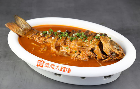 黃河大鯉魚