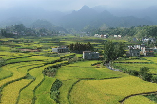 鄉(xiāng)村田野七