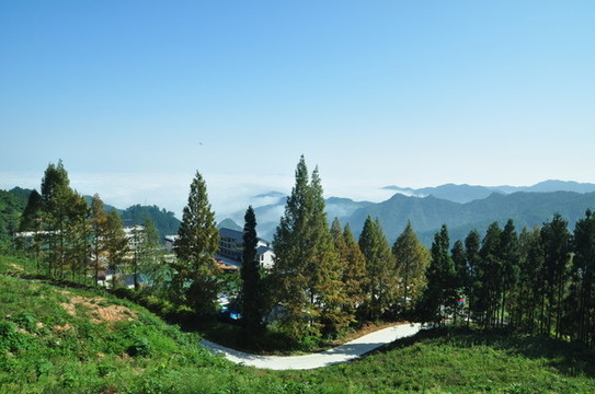 縣河云霧四