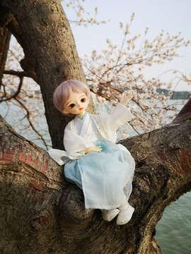 桃花盛開美女