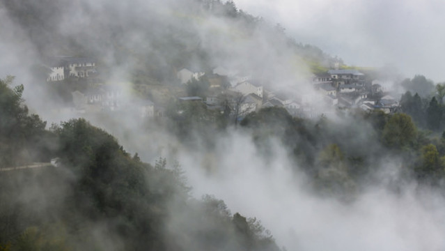 皖南春韻