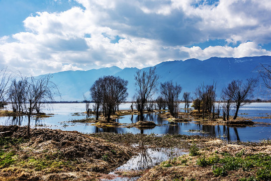 蒼山洱海
