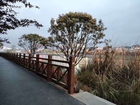 河邊木欄桿