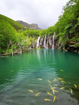 長白山綠淵潭