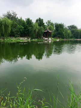 天津西沽公園