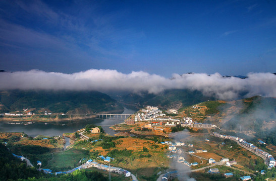新洲水