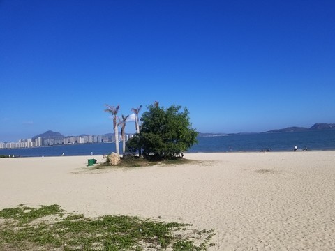沙灘