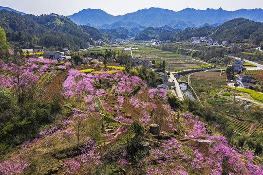 桃花山
