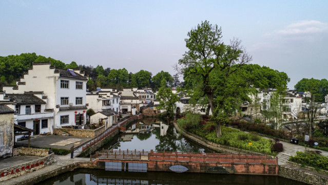美麗鄉(xiāng)村琶塘