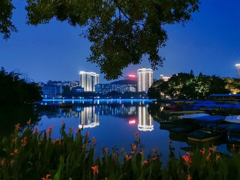 公園夜景