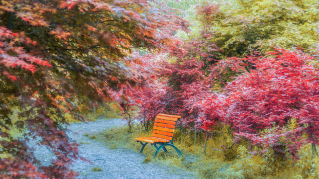 公園里的長椅