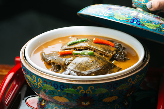 甲魚煲