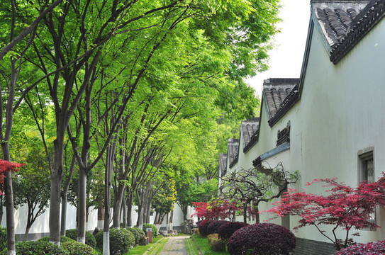 南京總統(tǒng)府花園